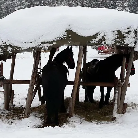 Luxury Mountain Poiana Brasov